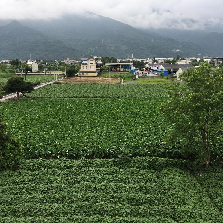 Bo Jue Farm Stay 吉安郷 エクステリア 写真
