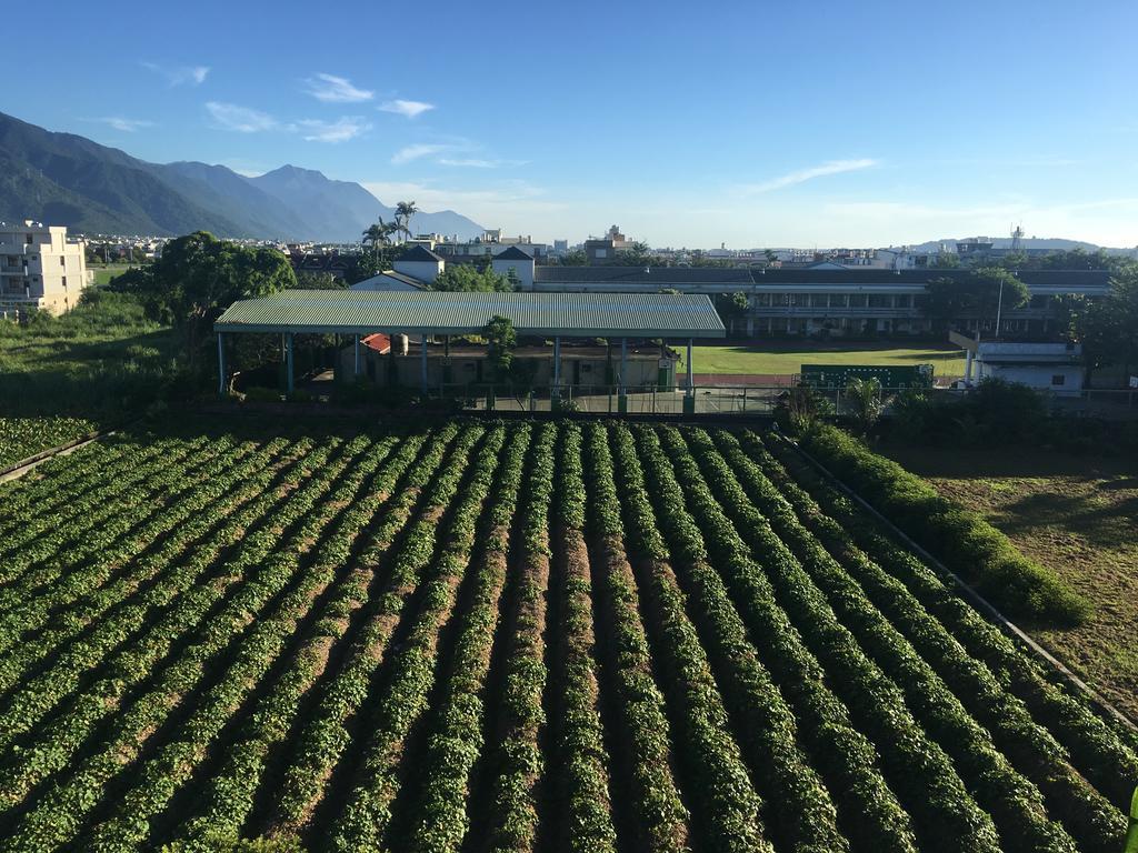 Bo Jue Farm Stay 吉安郷 エクステリア 写真