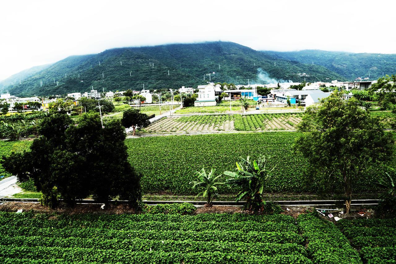 Bo Jue Farm Stay 吉安郷 エクステリア 写真